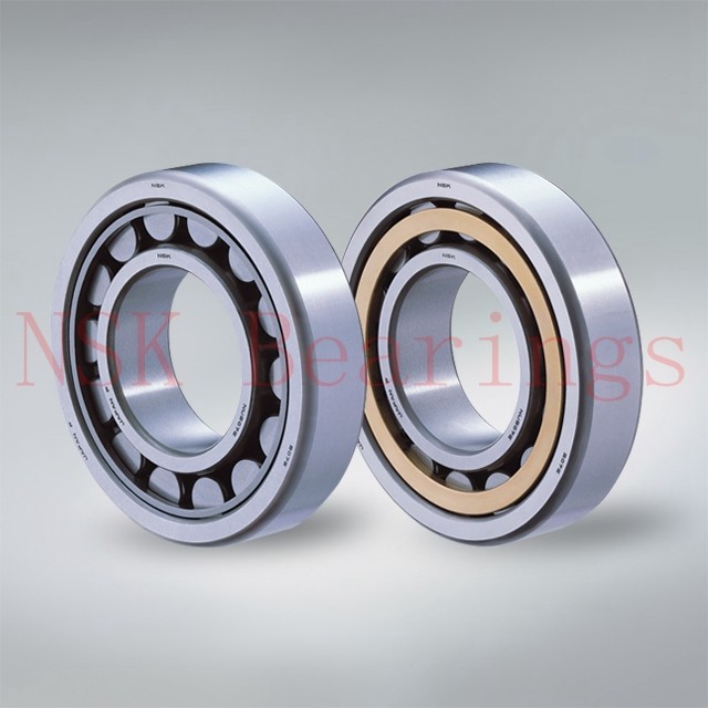 NSK R 1-4 ZZ deep groove ball bearings