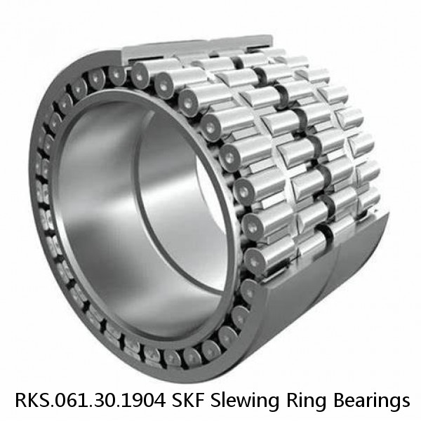 RKS.061.30.1904 SKF Slewing Ring Bearings #1 small image