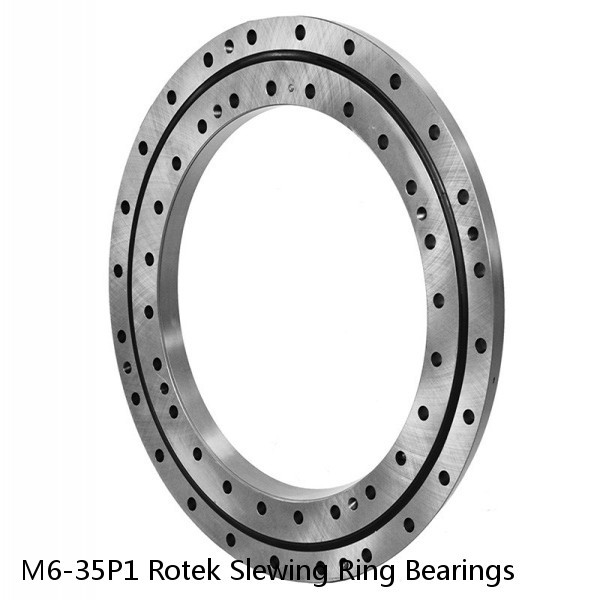 M6-35P1 Rotek Slewing Ring Bearings #1 small image