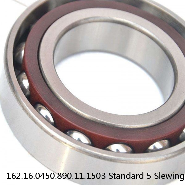 162.16.0450.890.11.1503 Standard 5 Slewing Ring Bearings #1 small image
