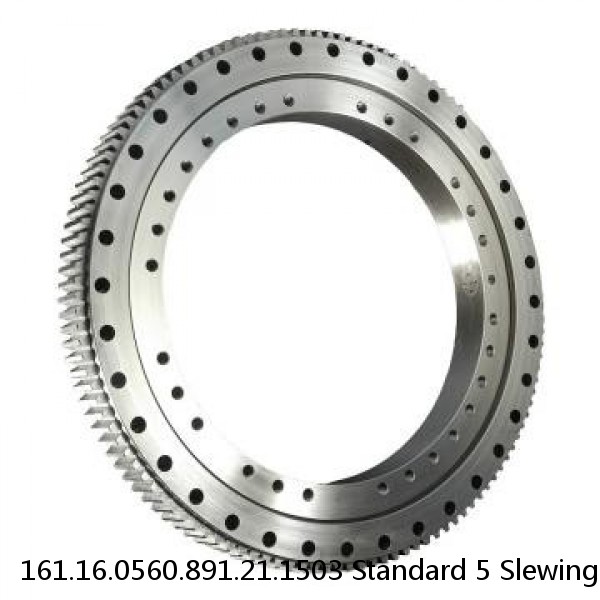 161.16.0560.891.21.1503 Standard 5 Slewing Ring Bearings #1 small image