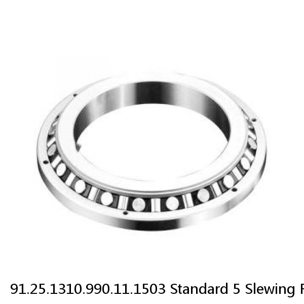 91.25.1310.990.11.1503 Standard 5 Slewing Ring Bearings
