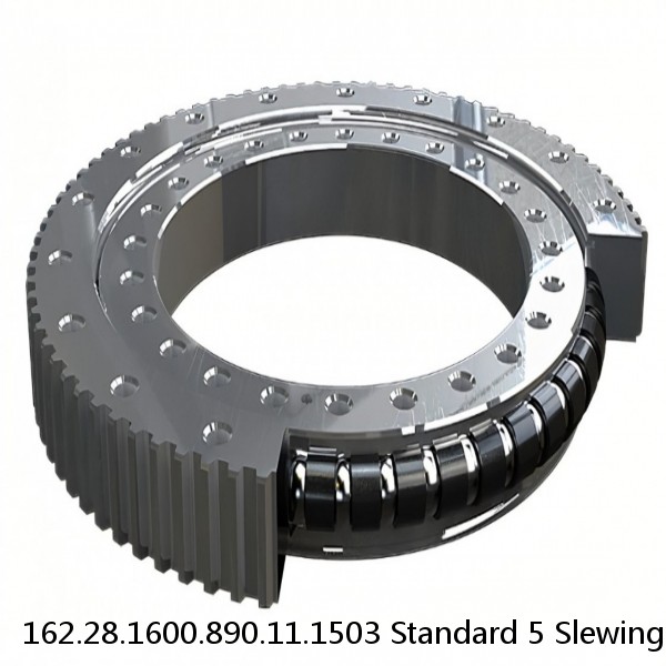 162.28.1600.890.11.1503 Standard 5 Slewing Ring Bearings