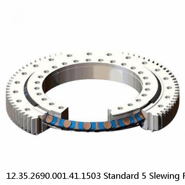 12.35.2690.001.41.1503 Standard 5 Slewing Ring Bearings #1 small image