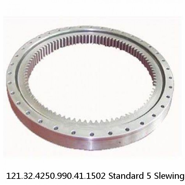 121.32.4250.990.41.1502 Standard 5 Slewing Ring Bearings #1 small image