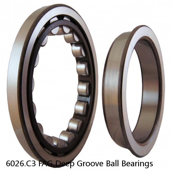 6026.C3 FAG Deep Groove Ball Bearings #1 small image