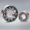 NSK NU2204 cylindrical roller bearings