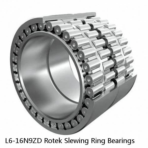 L6-16N9ZD Rotek Slewing Ring Bearings #1 image