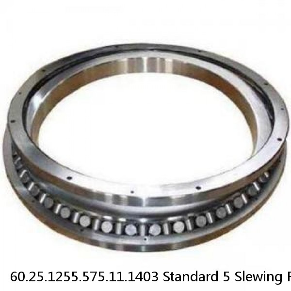 60.25.1255.575.11.1403 Standard 5 Slewing Ring Bearings #1 image