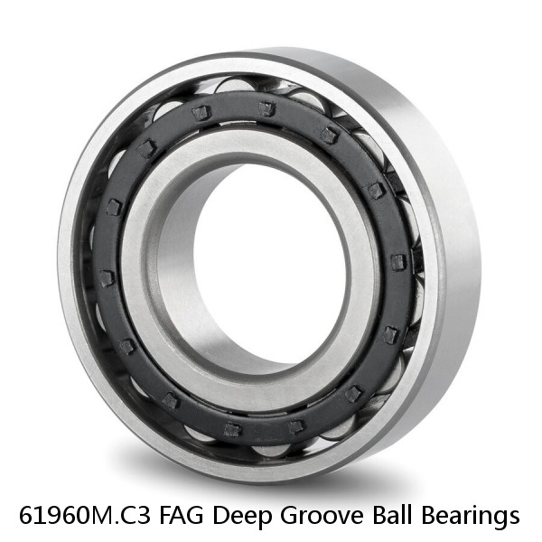 61960M.C3 FAG Deep Groove Ball Bearings #1 image