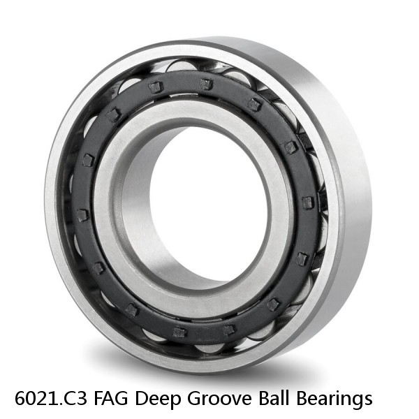 6021.C3 FAG Deep Groove Ball Bearings #1 image